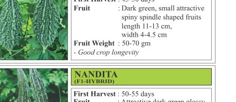 Nakul Bitter Gourd Seeds