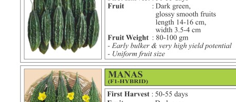 VNR 40 Bitter Gourd Seeds