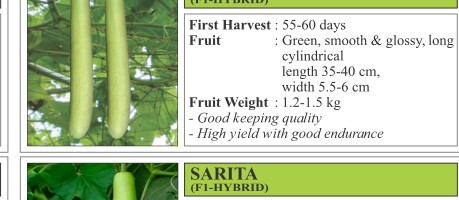 Mahi Bitter Gourd Seeds