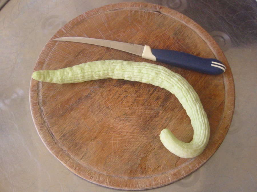 Kuhu Cucumber Seeds