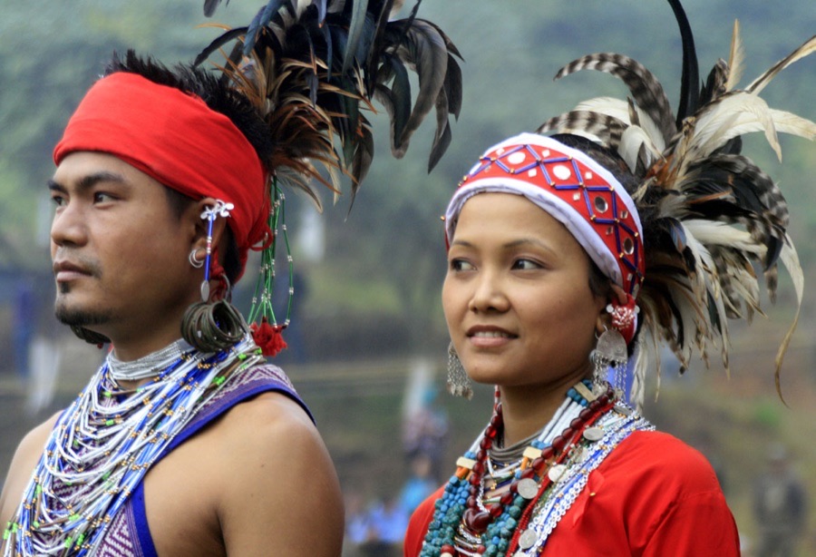 VNR P1 Pumpkin Seeds