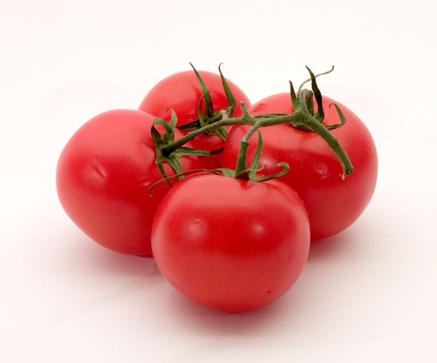 VNR 1064 Tomato Seeds