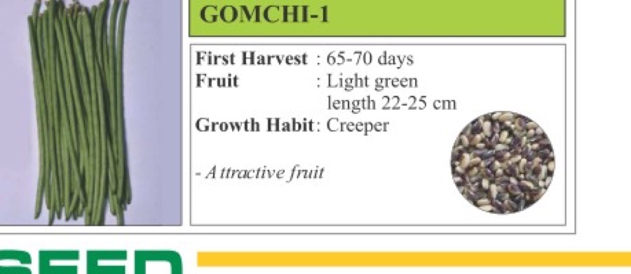 Gomchi 1 Okra Seeds