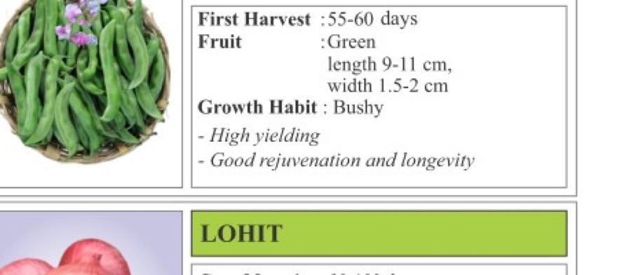 SMV 53 Cowpea Seeds
