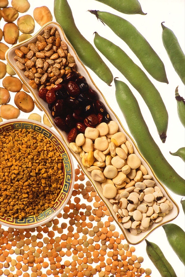VCF 2001 Cowpea Seeds