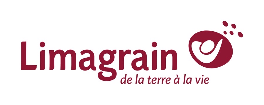 Hybrid Tinda Watermelon Seeds