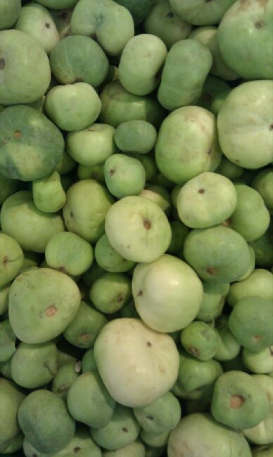 Vinayak Papaya Seeds
