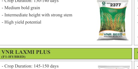 VNR 2377 Paddy Seeds