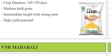 VNR Laxmi Plus Paddy Seeds