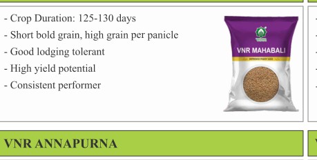 VNR Mahabali Paddy Seeds