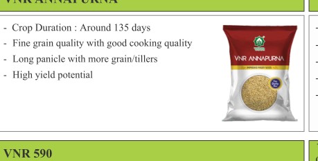 VNR Annapurna Paddy Seeds