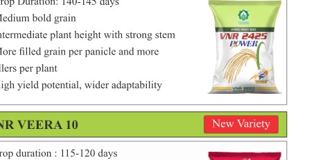 VNR 2425 Power Paddy Seeds