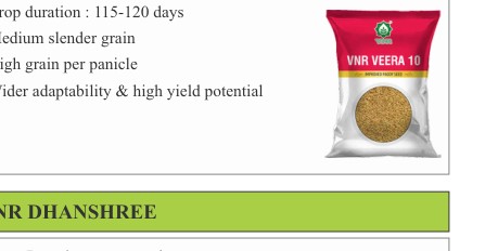 VNR Veera 10 Paddy Seeds