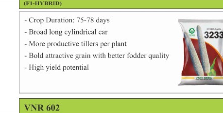 VNR 3233 Maize Seeds