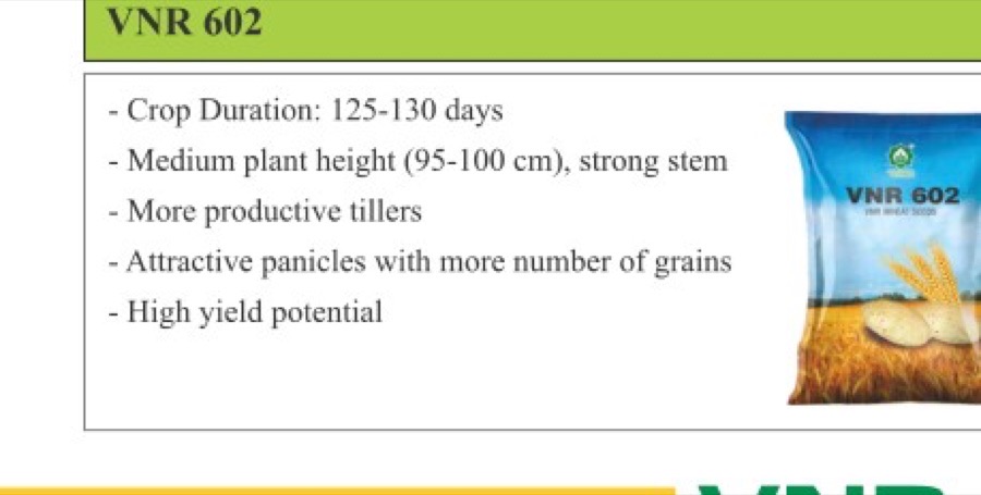 VNR 602 Maize Seeds